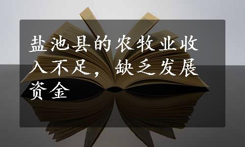 盐池县的农牧业收入不足，缺乏发展资金