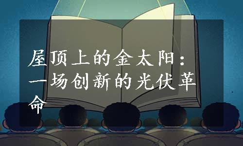 屋顶上的金太阳：一场创新的光伏革命