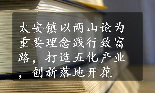 太安镇以两山论为重要理念践行致富路，打造五化产业，创新落地开花