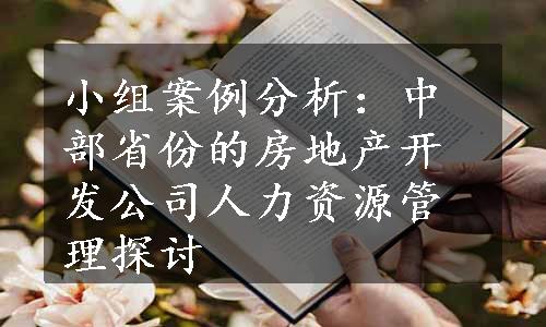 小组案例分析：中部省份的房地产开发公司人力资源管理探讨