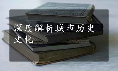 深度解析城市历史文化