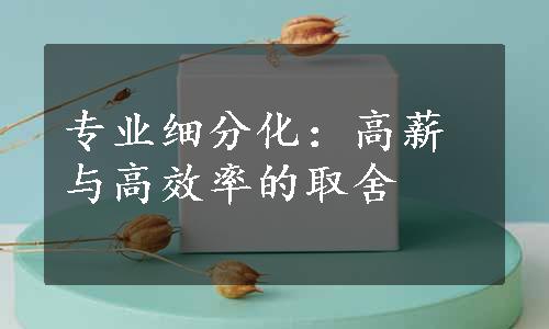 专业细分化：高薪与高效率的取舍