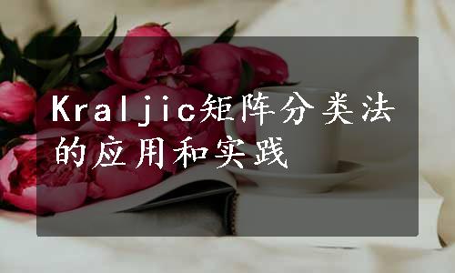 Kraljic矩阵分类法的应用和实践