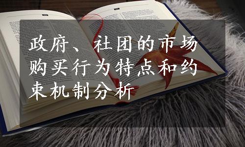 政府、社团的市场购买行为特点和约束机制分析