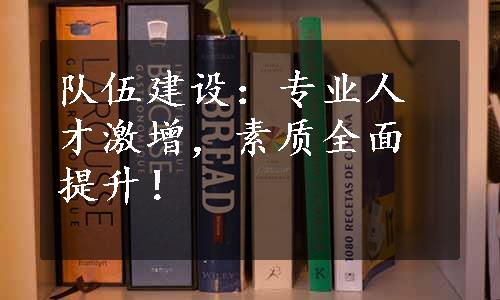 队伍建设：专业人才激增，素质全面提升！