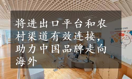 将进出口平台和农村渠道有效连接，助力中国品牌走向海外