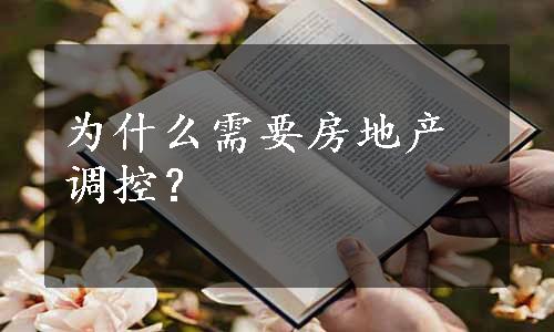 为什么需要房地产调控？