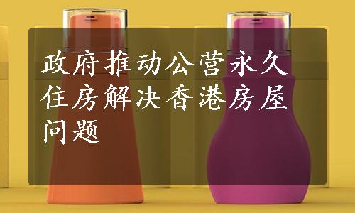 政府推动公营永久住房解决香港房屋问题