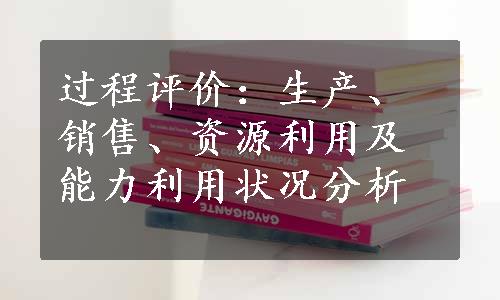 过程评价：生产、销售、资源利用及能力利用状况分析