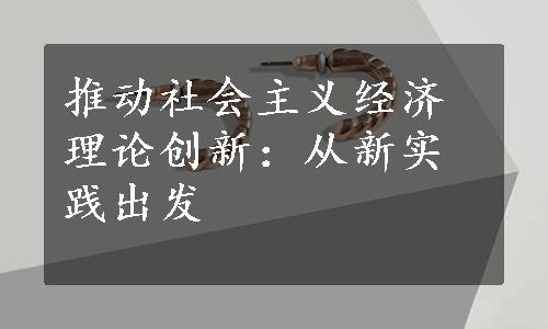 推动社会主义经济理论创新：从新实践出发