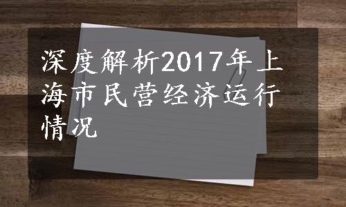 深度解析2017年上海市民营经济运行情况