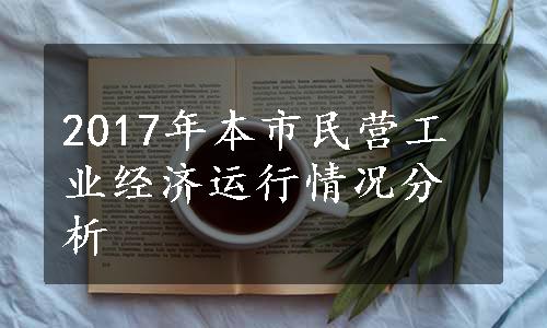 2017年本市民营工业经济运行情况分析