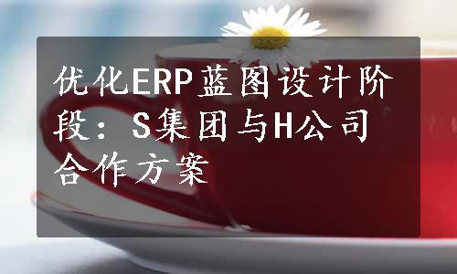 优化ERP蓝图设计阶段：S集团与H公司合作方案