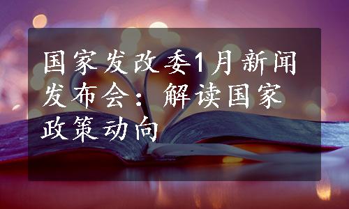 国家发改委1月新闻发布会：解读国家政策动向