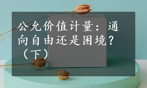 公允价值计量：通向自由还是困境？（下）