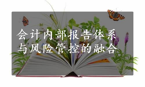 会计内部报告体系与风险管控的融合