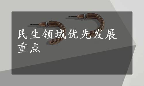 民生领域优先发展重点