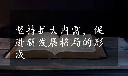 坚持扩大内需，促进新发展格局的形成