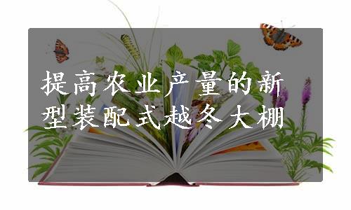 提高农业产量的新型装配式越冬大棚