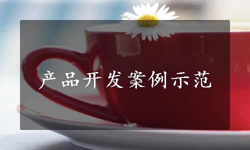 产品开发案例示范