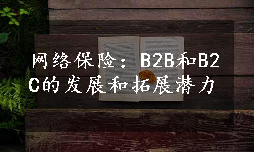 网络保险：B2B和B2C的发展和拓展潜力