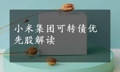 小米集团可转债优先股解读