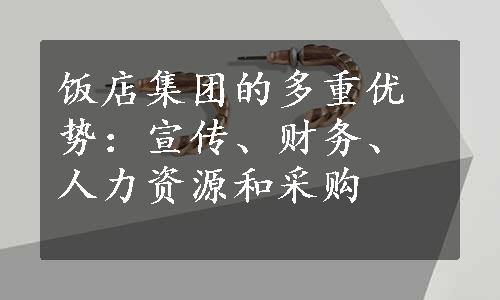 饭店集团的多重优势：宣传、财务、人力资源和采购