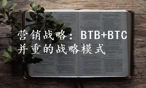 营销战略：BTB+BTC并重的战略模式