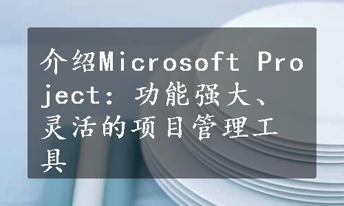 介绍Microsoft Project：功能强大、灵活的项目管理工具