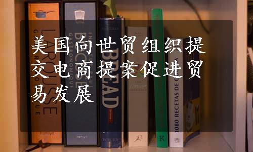 美国向世贸组织提交电商提案促进贸易发展