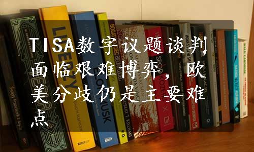 TISA数字议题谈判面临艰难博弈，欧美分歧仍是主要难点