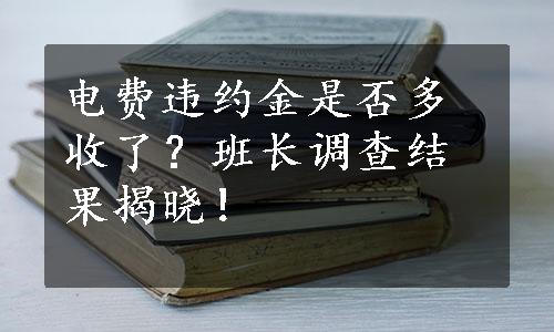 电费违约金是否多收了？班长调查结果揭晓！