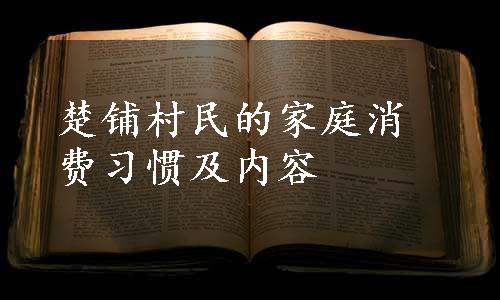 楚铺村民的家庭消费习惯及内容