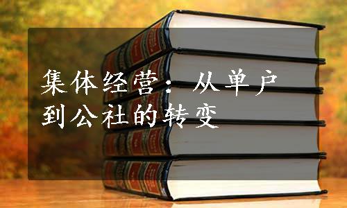 集体经营：从单户到公社的转变