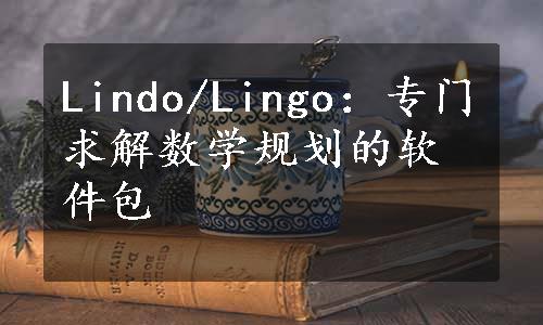 Lindo/Lingo：专门求解数学规划的软件包