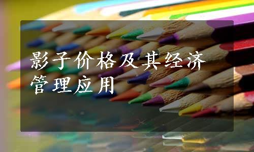 影子价格及其经济管理应用