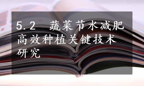 5.2　蔬菜节水减肥高效种植关键技术研究