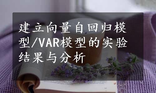 建立向量自回归模型/VAR模型的实验结果与分析