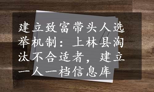 建立致富带头人选举机制：上林县淘汰不合适者，建立一人一档信息库