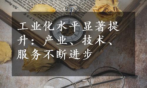 工业化水平显著提升：产业、技术、服务不断进步