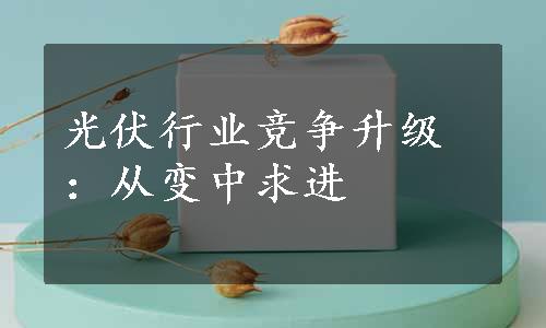 光伏行业竞争升级：从变中求进