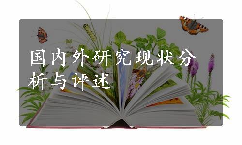 国内外研究现状分析与评述