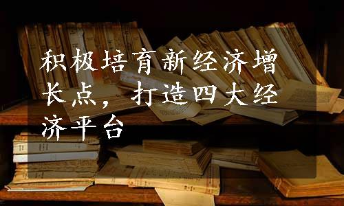 积极培育新经济增长点，打造四大经济平台