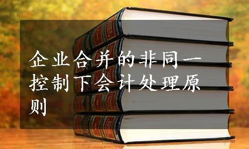 企业合并的非同一控制下会计处理原则