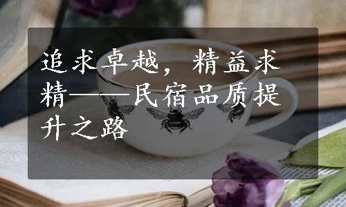 追求卓越，精益求精——民宿品质提升之路