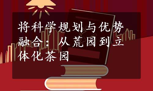 将科学规划与优势融合：从荒园到立体化茶园