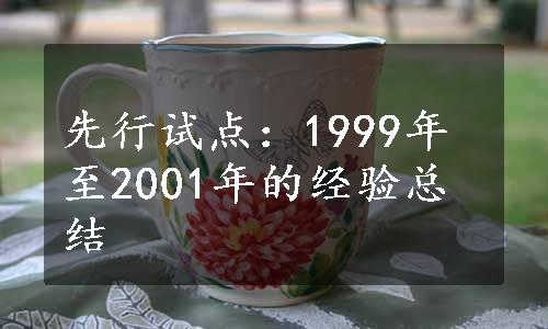 先行试点：1999年至2001年的经验总结