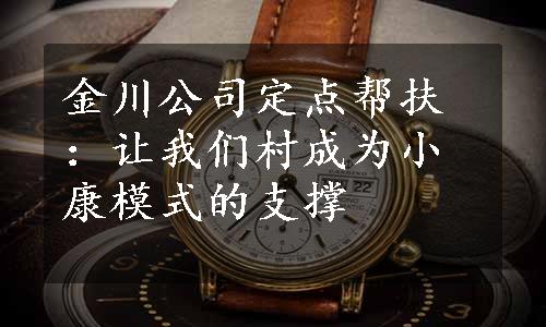 金川公司定点帮扶：让我们村成为小康模式的支撑