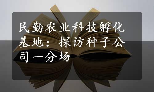 民勤农业科技孵化基地：探访种子公司一分场