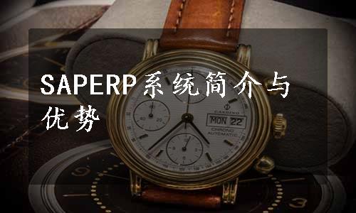 SAPERP系统简介与优势